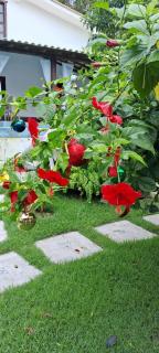 Azevim Suítes Alto de Pitinga - 9