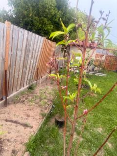 Hespeler Haven Hideaway - 9