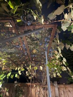 Hespeler Haven Hideaway - 7