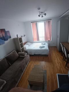 Wolf Apartments Kopaonik - 7