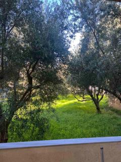 ALIO Seaside Maisonette - 0