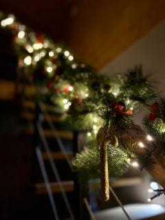 Mountain Log Cabin - 5