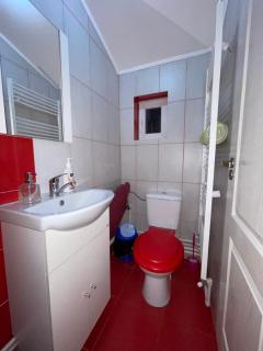 Casa Petrica Toplița - 2