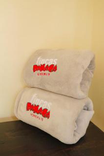 Fincas Panaca Casa Herrería 19 - 3