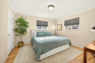 Jville Gem, Walk Downtown - 9