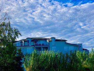 SPA & SOUL Residence Neusiedl am See - 3