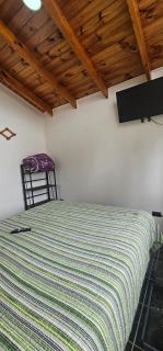 Cabaña pet friendly el quisco - 7