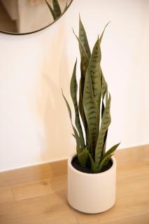 Sikelia Apartment - 2