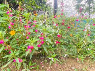 Nine arch eco Villa Ella - 9