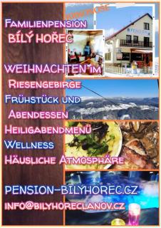 Pension Bílý Hořec - 9