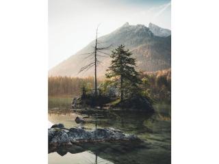 Feichtlgütl - Zinken - 1