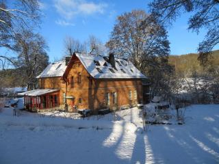 Schneeweischen, coach house by the pond - 9