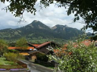 Swallow's nest in the holiday home Alt - 7