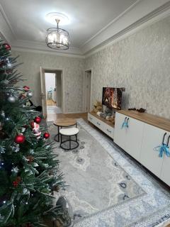 Centre Apartment - 1