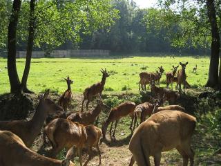 in an old mill - - 7