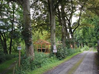 Rose red, coach house by the pond - 5