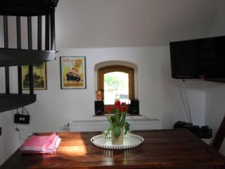 Rose red, coach house by the pond - 4