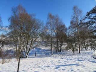 Rose red, coach house by the pond - 3
