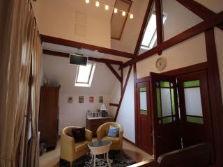 Rose red, coach house by the pond - 2