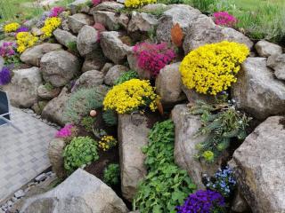 Seidl - Holiday Apartment - 3