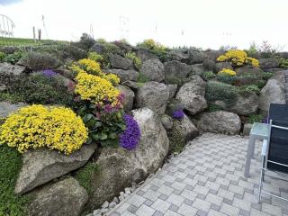 Seidl - Holiday Apartment - 1