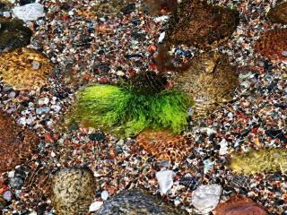 Holiday apartment with 2 bedrooms - 6