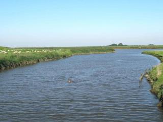 Holiday home with 5 bedrooms - 7