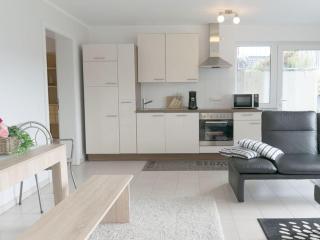 Moselle Castle View, Koblenz Dieblich - 2