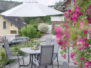 Moselle Castle View, Koblenz Dieblich - 8