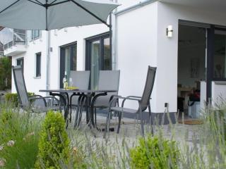 Moselle Castle View, Koblenz Dieblich - 6