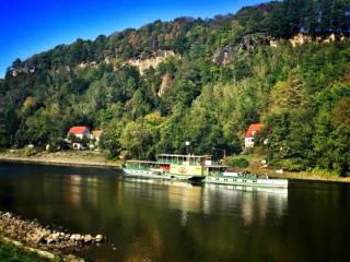 XXL Ferienhaus in Struppen - 2