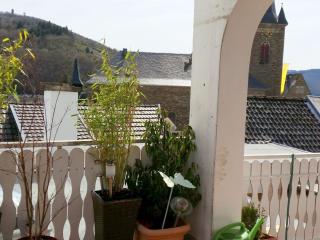 Holiday apartment in Dernau with parking - 7