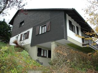 Holiday home in Schmallenberg with barbecue - 7