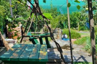 Ggotdam Cheongdo - 1