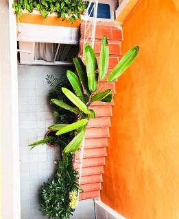 Staycation Orange studio - Dis1 - Free washing - 1