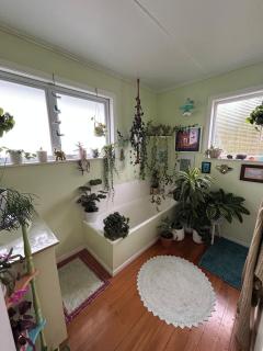 The Cactus House - 3