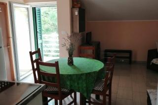 Apartments with parking space Drazice, Rijeka - 24985 - 2