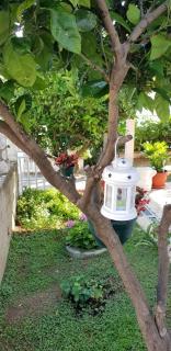 Apartments by the sea Podaca, Makarska - 6875 - 1