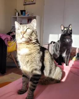 Acogedora habitación en duplex con vista a parque - 3