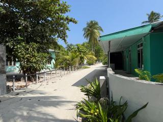 Coconut Palm Dhidhoo - 8