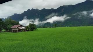 Guesthouse and Restaurant SayLomYen KongLor - 9