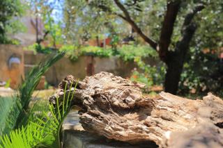 Apartments and rooms with parking space Trogir - 4814 - 8