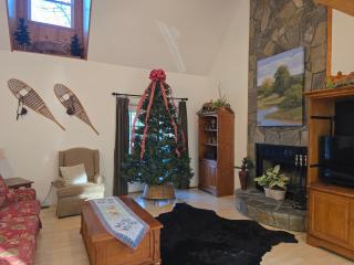 Mallard Cove - lakeside pet friendly - 7