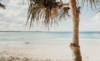 Heart of Sunshine Spacious Apt Pool and Garden - 1