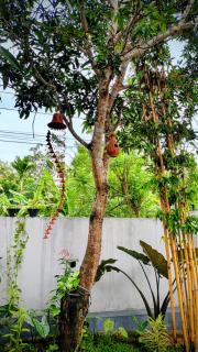 Junction 14 Villa - 9