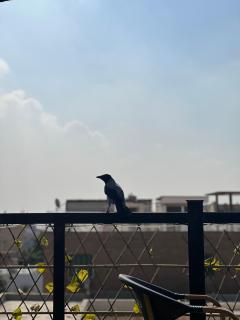 Karnak pyramids all inclusive & tours - 5