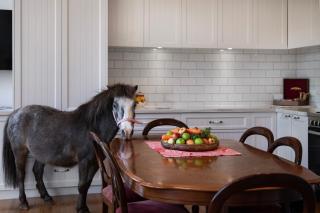 The Pony Lodge - 6