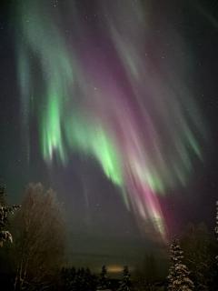 Cozy Guesthouse Ollinmäki - 9