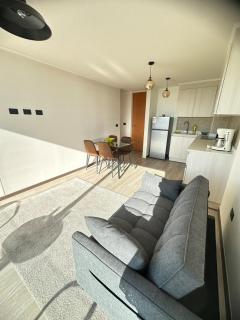 Espectacular Nuevo departamento, en la Serena, con piscina - 5