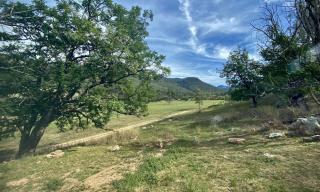 The Nile Farmstay - 2